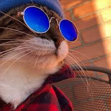 Content Marketing Icon